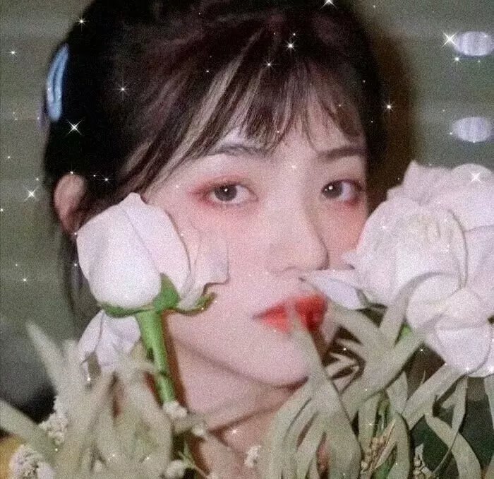 机械生活