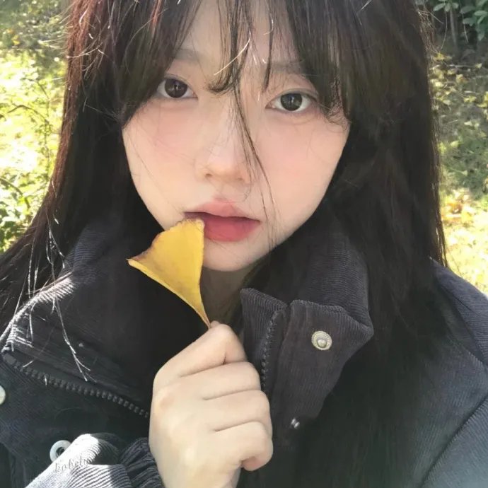 金装季节粤语
